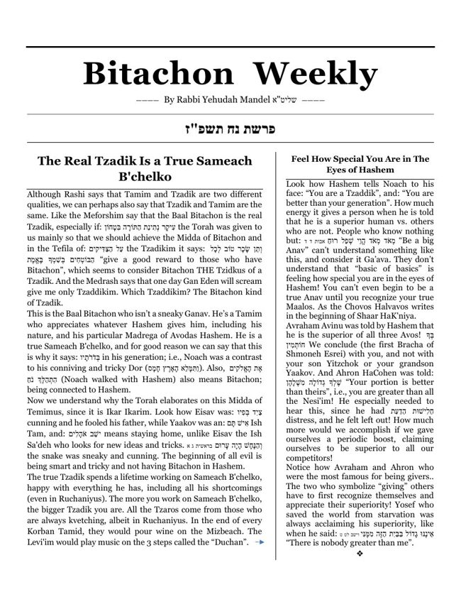 Bitachon Weekly cover