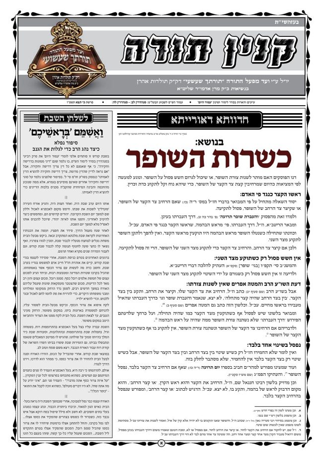 קנין תורה כי תצא פ ו cover