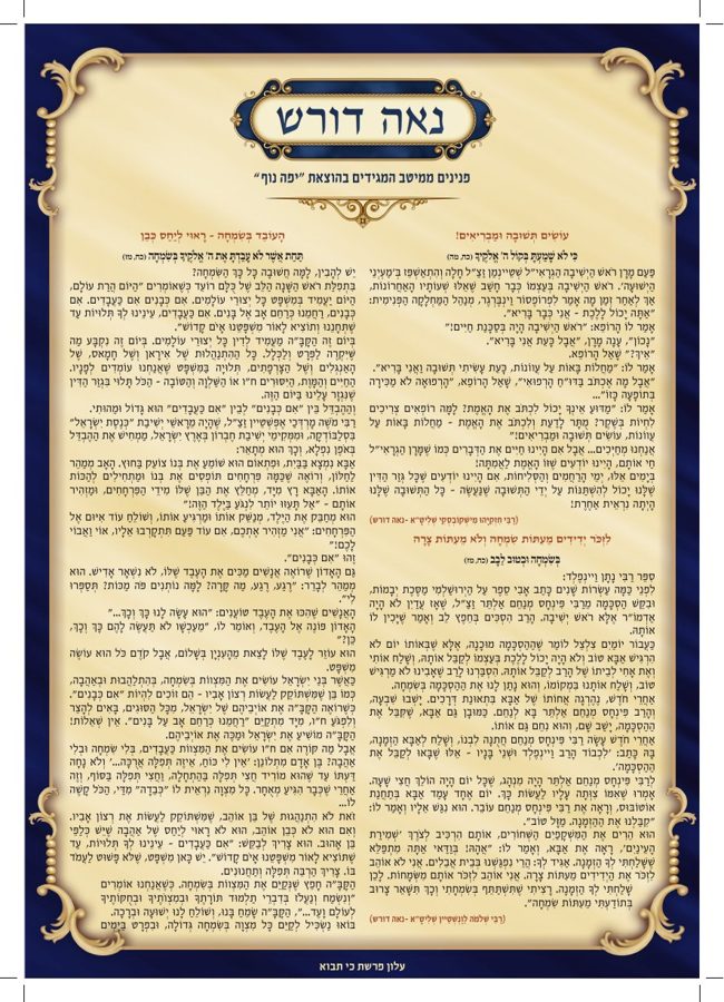 נאה דורש cover