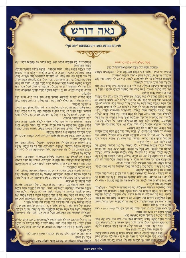 נאה דורש cover