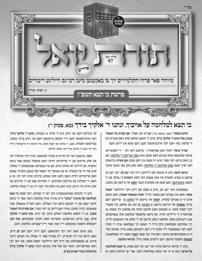 תורת יואל cover