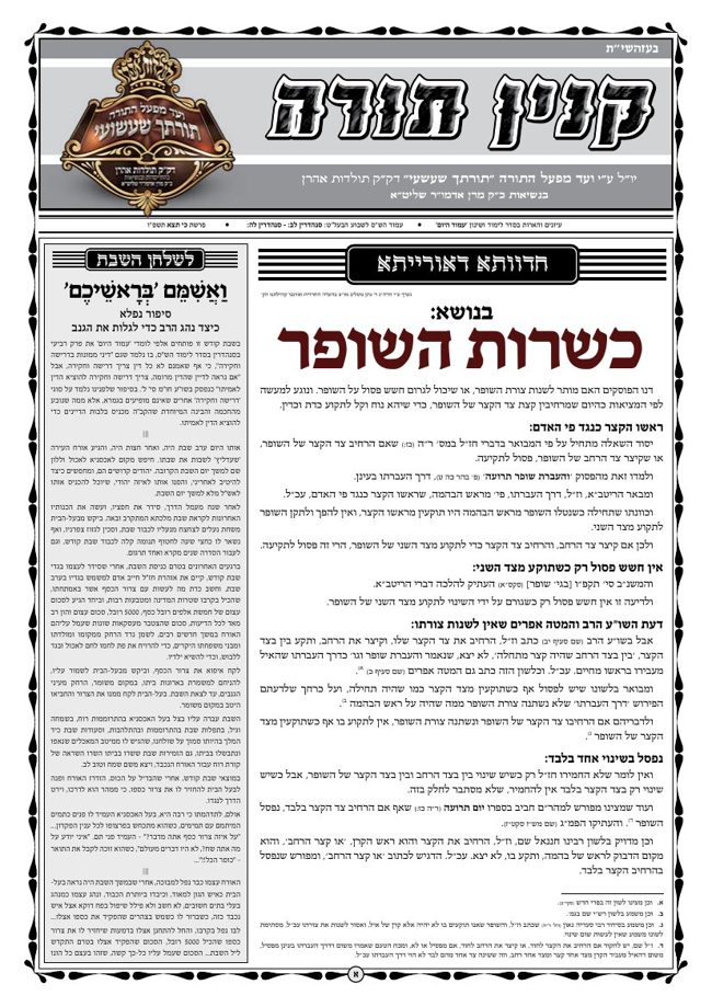 קנין תורה cover