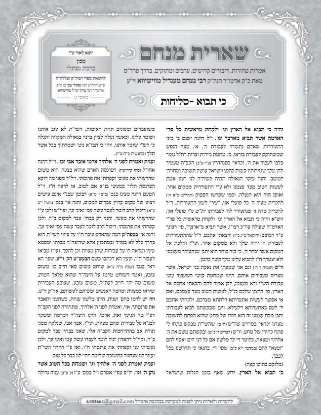 שארית מנחם ווישווא וויזניצא cover