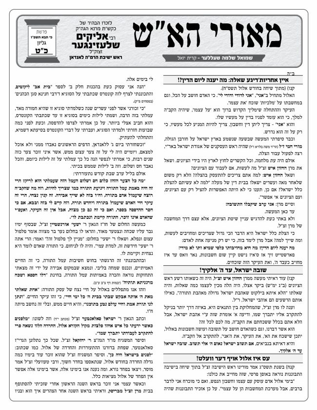 מאורי האש שלעזינגער cover
