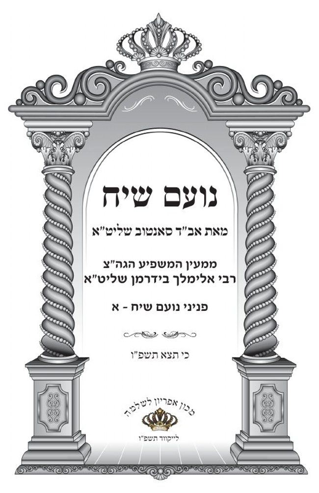 נועם שיח cover