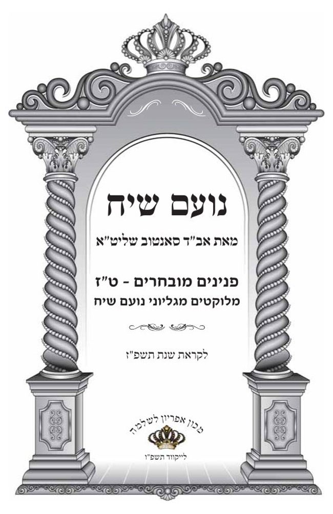 נועם שיח cover