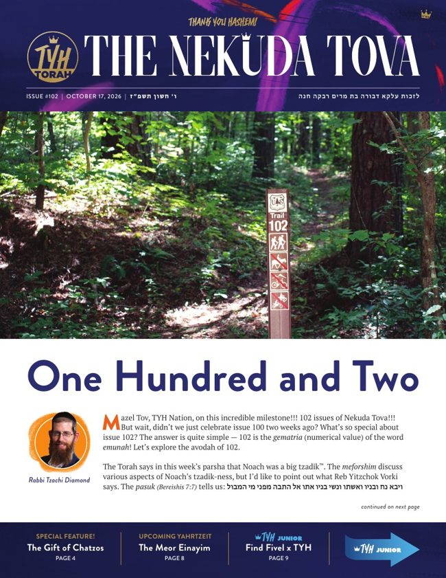 Nekuda Tova cover