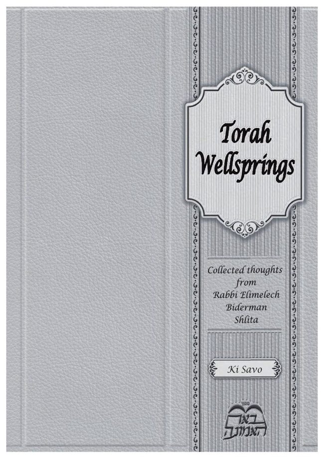 Torah Wellsprings cover