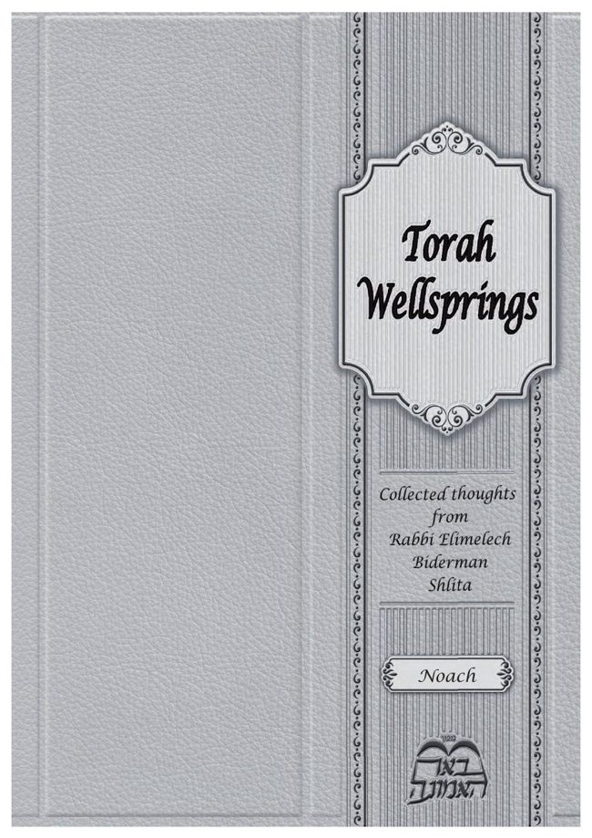 Torah Wellsprings cover