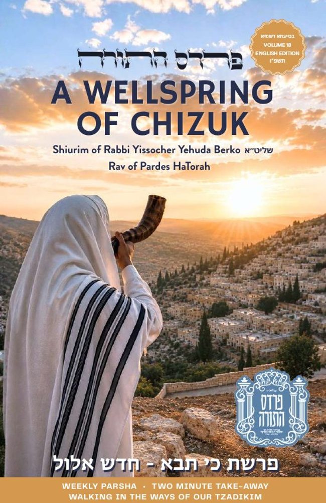 Wellsprings of Chizzuk cover