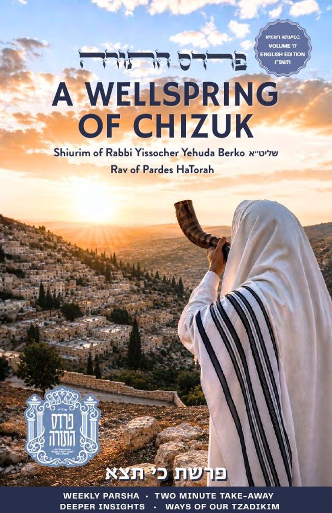 Wellsprings of Chizzuk cover